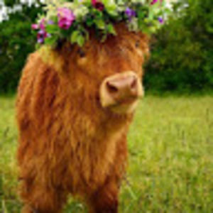 Meet your Posher, Adelynn